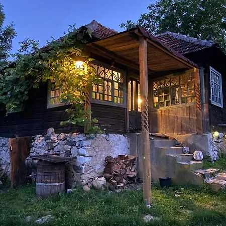 Casa Padureana - Log House From 1860 Villa Hunedoara Exterior photo