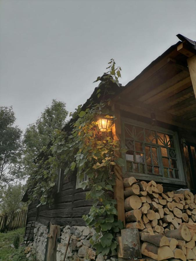 Casa Padureana - Log House From 1860 Hébergement de vacances Hunedoara